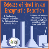 Enzyme Lab Release of Heat in an Enzymatic Reaction