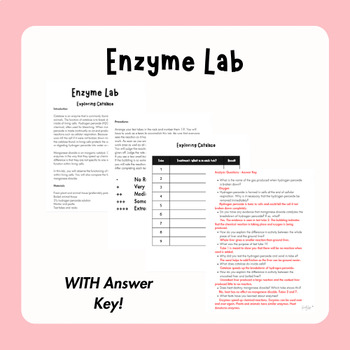 Preview of Enzyme Lab - Testing Catalase