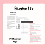 Enzyme Lab - Testing Catalase