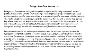 Preview of Enzyme Lab with Student Writen Procedure and Lab Analysis- Common Core and NGSS