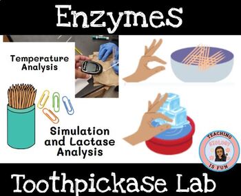 Preview of Enzyme Lab Lactase and Toothpickase Lab- Biology Lab