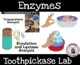 Enzyme Lab Lactase and Toothpickase Lab- Biology Lab