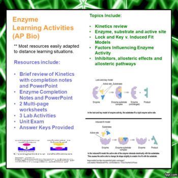Preview of Enzyme Learning Package for AP/Advanced Biology (Distance Learning)