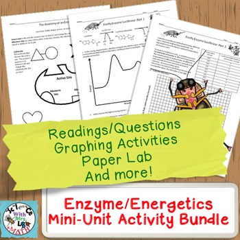 Preview of Enzymes Mini-Unit: Worksheets, Graphing Activities, and Paper Substrate Lab