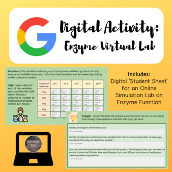 Preview of Enzyme Virtual Lab | Google Slides