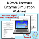 Enzyme Worksheet for Bioman Enzymatic Activity includes Di