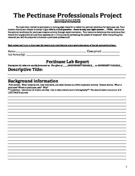 enzyme lab report