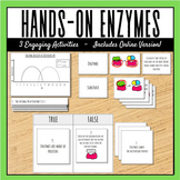 Enzymes: 3 Resources | Vocabulary Sort | Graph Analysis | 