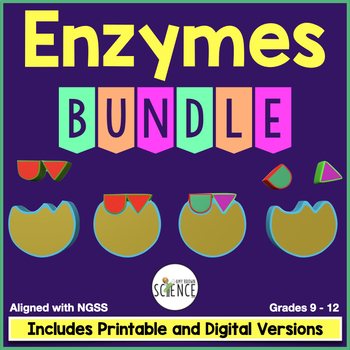 Preview of Enzymes Unit Bundle - Chemical Reactions of the Cell and Role of Enzymes