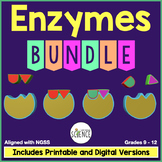 Enzymes Unit Bundle - Chemical Reactions of the Cell and R