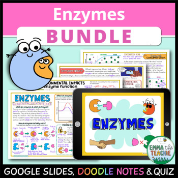 Preview of Enzymes Bundle - Google Slides Activities, Doodle Notes and Quiz