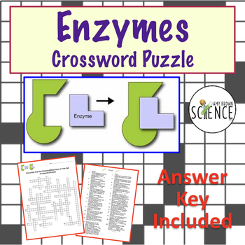 Enzymes Crossword Puzzle by Amy Brown Science Teachers Pay Teachers