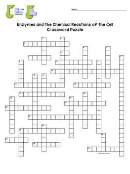 Enzymes Crossword Puzzle by Amy Brown Science Teachers Pay Teachers