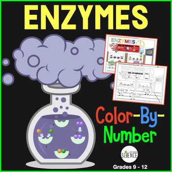 Preview of Enzymes Color by Number