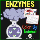 Enzymes Color by Number