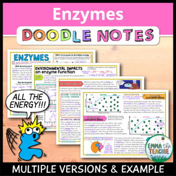 Preview of Enzymes Doodle Notes