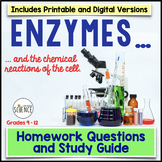Enzymes Homework Worksheets