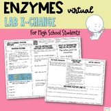 Enzymes - Lab X-Change Virtual Interactive Enzyme Pathway 