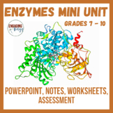 Enzymes Mini Unit