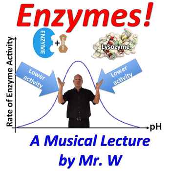 Preview of Enzymes (Mr. W's Enzyme Music Video)