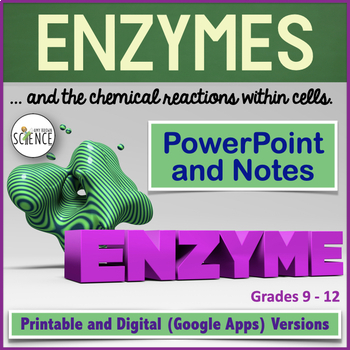 Preview of Enzymes PowerPoint and Notes