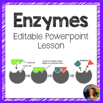 Preview of Enzymes Powerpoint Lesson