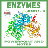 Enzymes Powerpoint and Student Notes