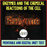 Enzymes Test
