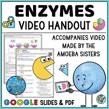 Preview of Enzymes Amoeba Sisters Video Handout