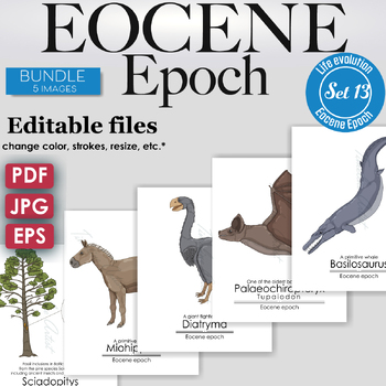 Preview of Eocene Epoch Colorful Bundle: Baltic amber, Basilosaurus, Miohippus, bat