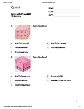 Preview of Epidermal Cell Types