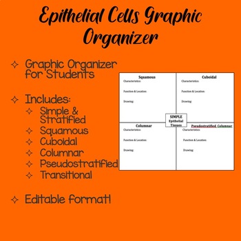 Preview of Epithelial Tissue Cells Organizer