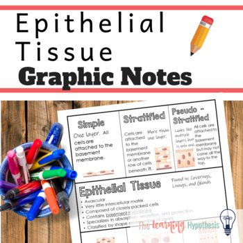 Preview of Epithelial Tissue Worksheets.  Body Tissues.  Digital & Print. Distance Learning