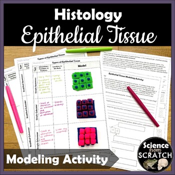 Preview of Epithelial Tissue Model Activity for Histology