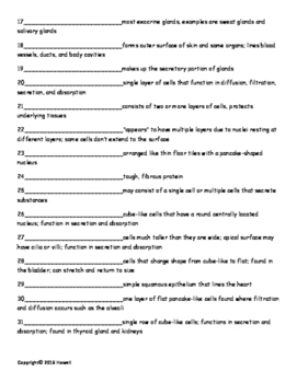 Epithelial Tissue Quiz or Worksheet for Anatomy | TpT