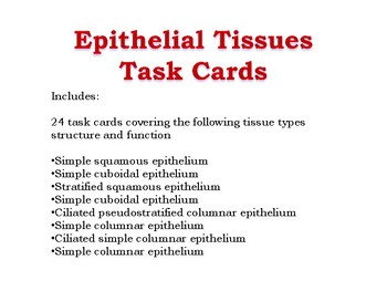 Preview of Epithelial Tissue Task Cards