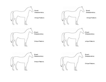 Preview of Equine Horse Breed Notes