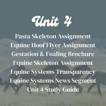 Preview of Equine Science Unit 4 | ENTIRE ANATOMY, PHYSIOLOGY, & REPRODUCTIVE UNIT
