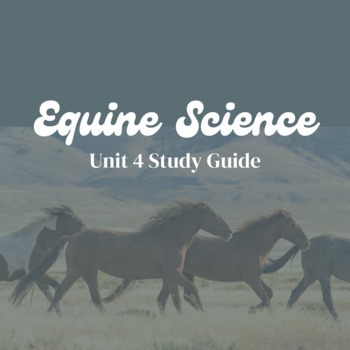 Preview of Equine Science Unit 4 Study Guide | Anatomy, Physiology, & Repro Study Guide