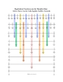 Equivalent Fractions on the Number Line Reference Sheets