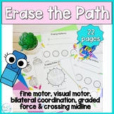 Erase the Path: Fine Motor Strength, Visual Motor and Visu