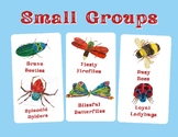 Eric Carle Classroom Theme Small Group Chart and Group Labels