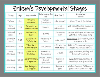 Erik Erikson's Developmental Stages Poster by Brandi Wells | TPT