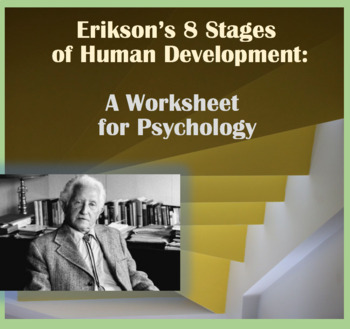Preview of Erikson's 8 Stages of Human Development, Graphic Organizer Worksheet, Psychology