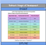 Erikson’s Stages of Development HyperDoc - Psychology Acti