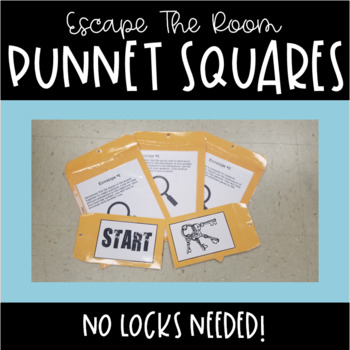 Preview of Escape the Room-Punnett Squares