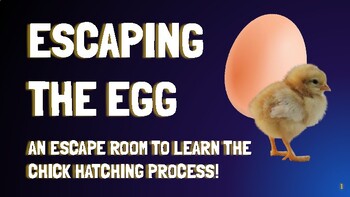 Preview of Escaping the Egg - Chick Hatching Process Escape Room Lesson