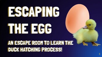 Preview of Escaping the Egg - Duck Hatching Process Escape Room Lesson