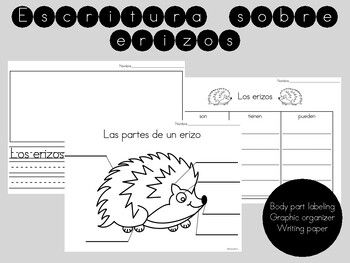 Preview of Escritura informativa - Los Erizos - Informative Writing About Hedgehogs Spanish