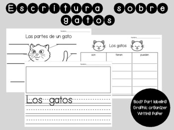Preview of Escritura informativa - Los gatos - Informative Writing About Cats in Spanish